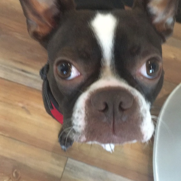 Meet your Posher, Luke - Picture 1 of 1